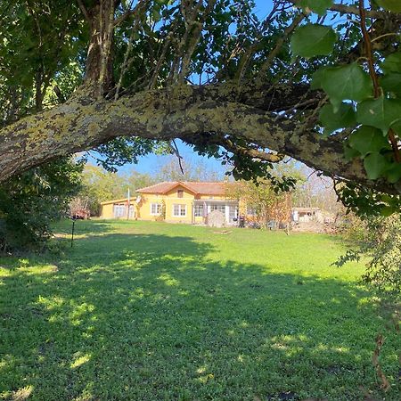 שבלה Ferienhaus Primorska Sunshine In Strandnaehe מראה חיצוני תמונה