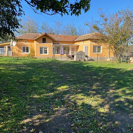 שבלה Ferienhaus Primorska Sunshine In Strandnaehe מראה חיצוני תמונה