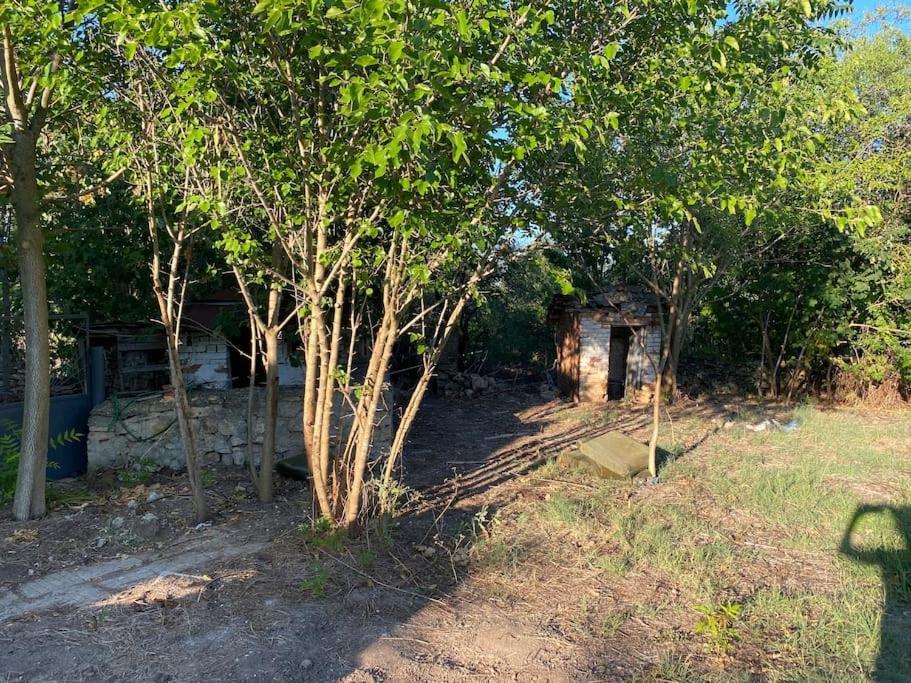 שבלה Ferienhaus Primorska Sunshine In Strandnaehe מראה חיצוני תמונה