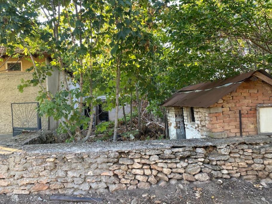 שבלה Ferienhaus Primorska Sunshine In Strandnaehe מראה חיצוני תמונה