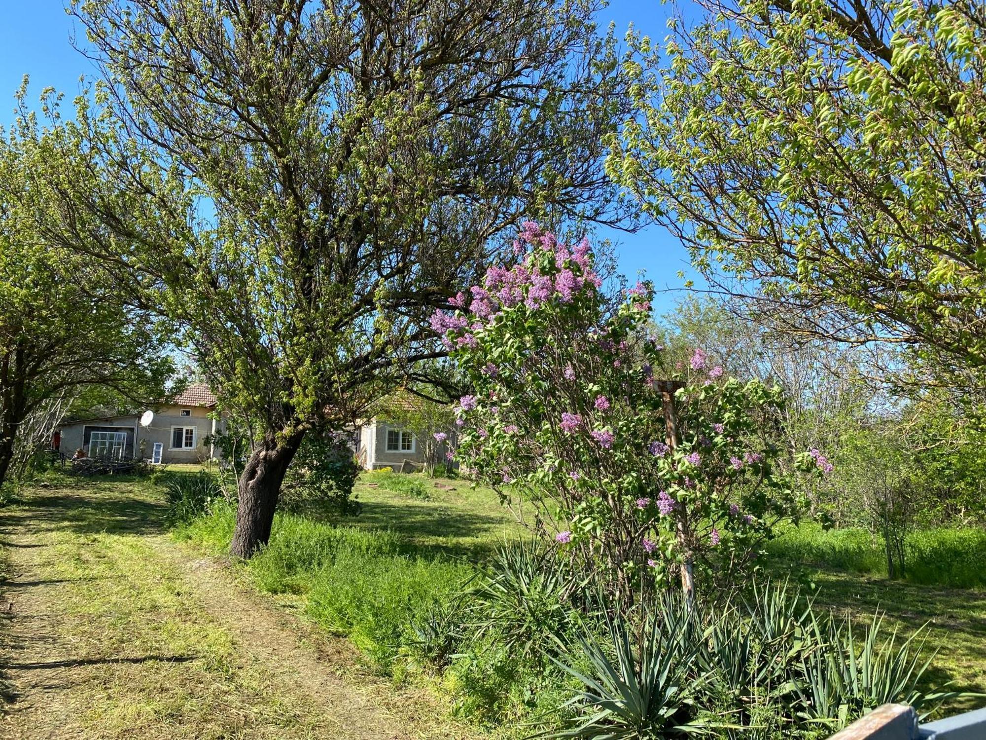 שבלה Ferienhaus Primorska Sunshine In Strandnaehe מראה חיצוני תמונה