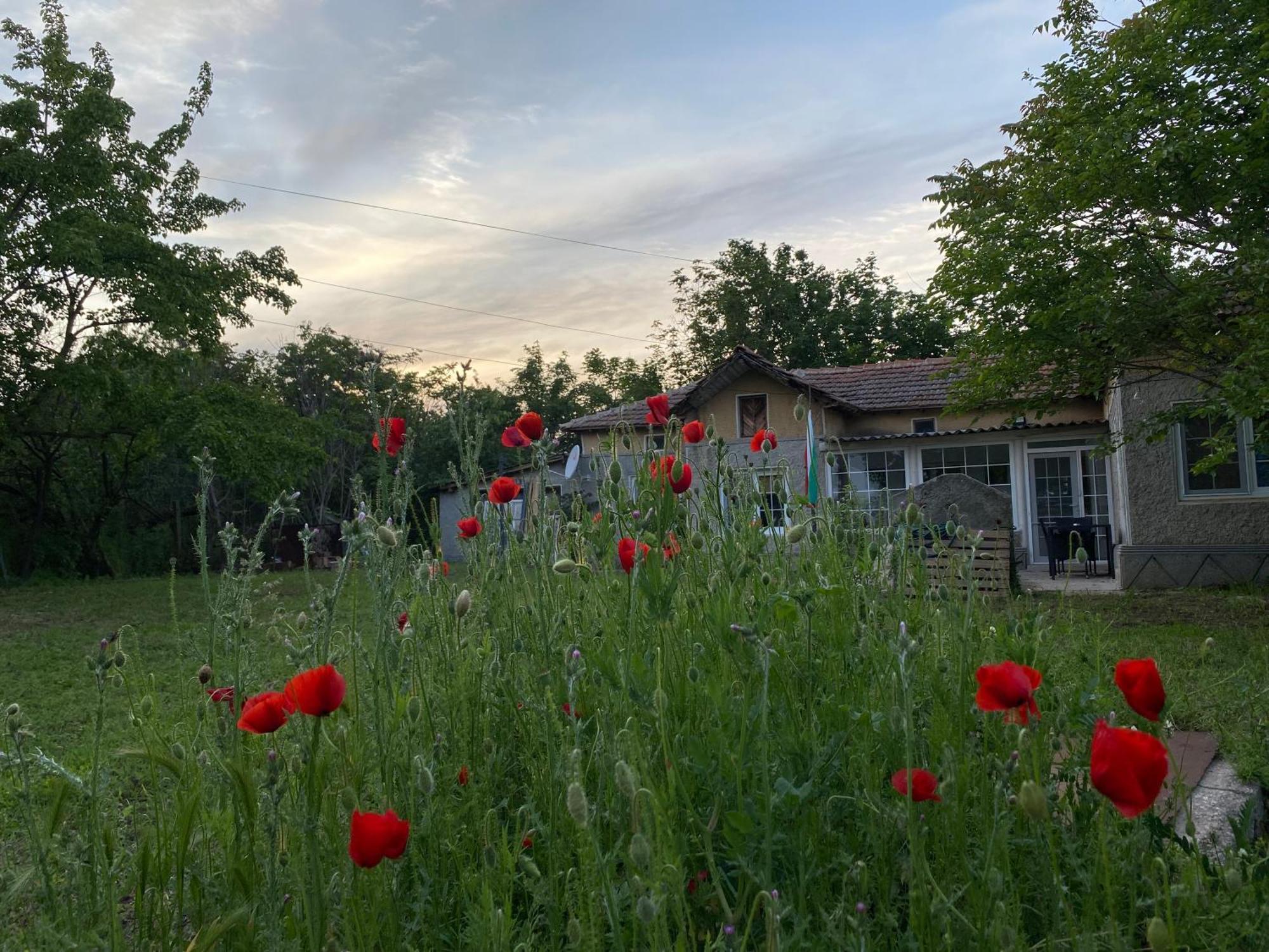 שבלה Ferienhaus Primorska Sunshine In Strandnaehe מראה חיצוני תמונה